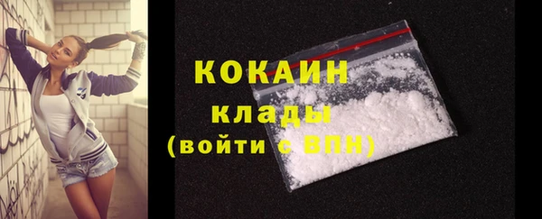 индика Горняк