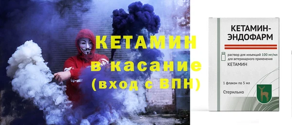индика Горняк