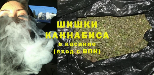индика Горняк