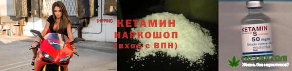 индика Горняк
