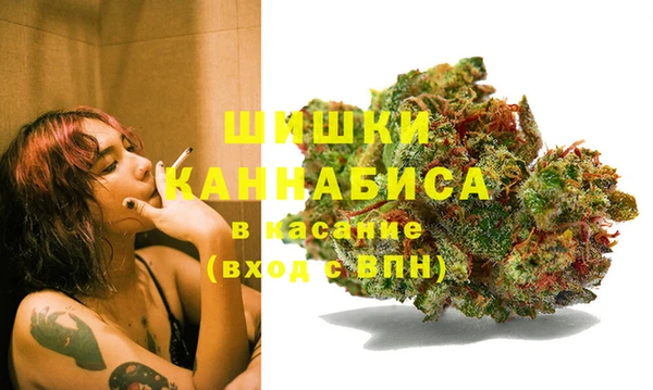 индика Горняк