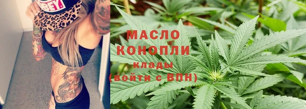индика Горняк