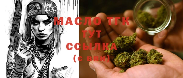 индика Горняк
