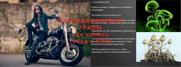 индика Горняк